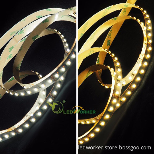 China Supplier DC 12V 24V 220V LED Strip Lights: 60LED, 120LED, 3014, 5630, 2835 White